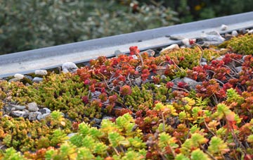 the cost of Kingsway green roof installation