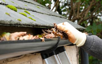 gutter cleaning Kingsway