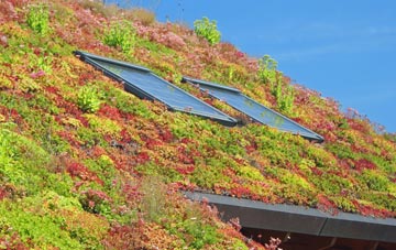 Kingsway living roof systems