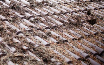 Kingsway roof cleaning companies