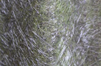 Kingsway fibreglass roof work